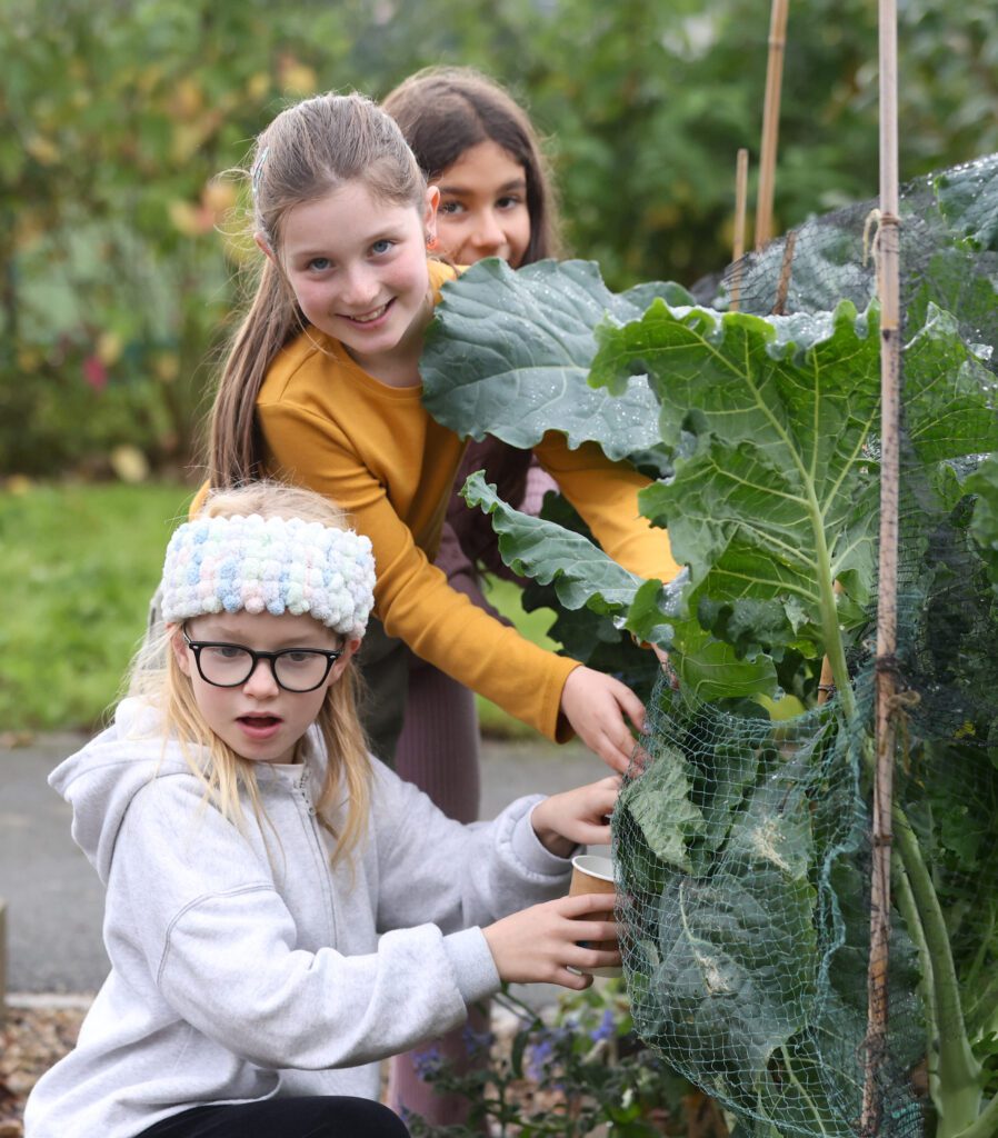 Three girls tending to plants in a community garden. 