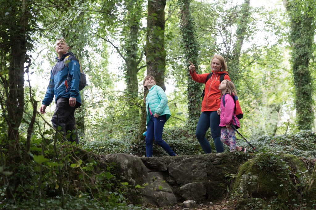 A family of two adults and two children in brightly dressed outdoor coats and jackets, walking through woodland, with a background of green trees.