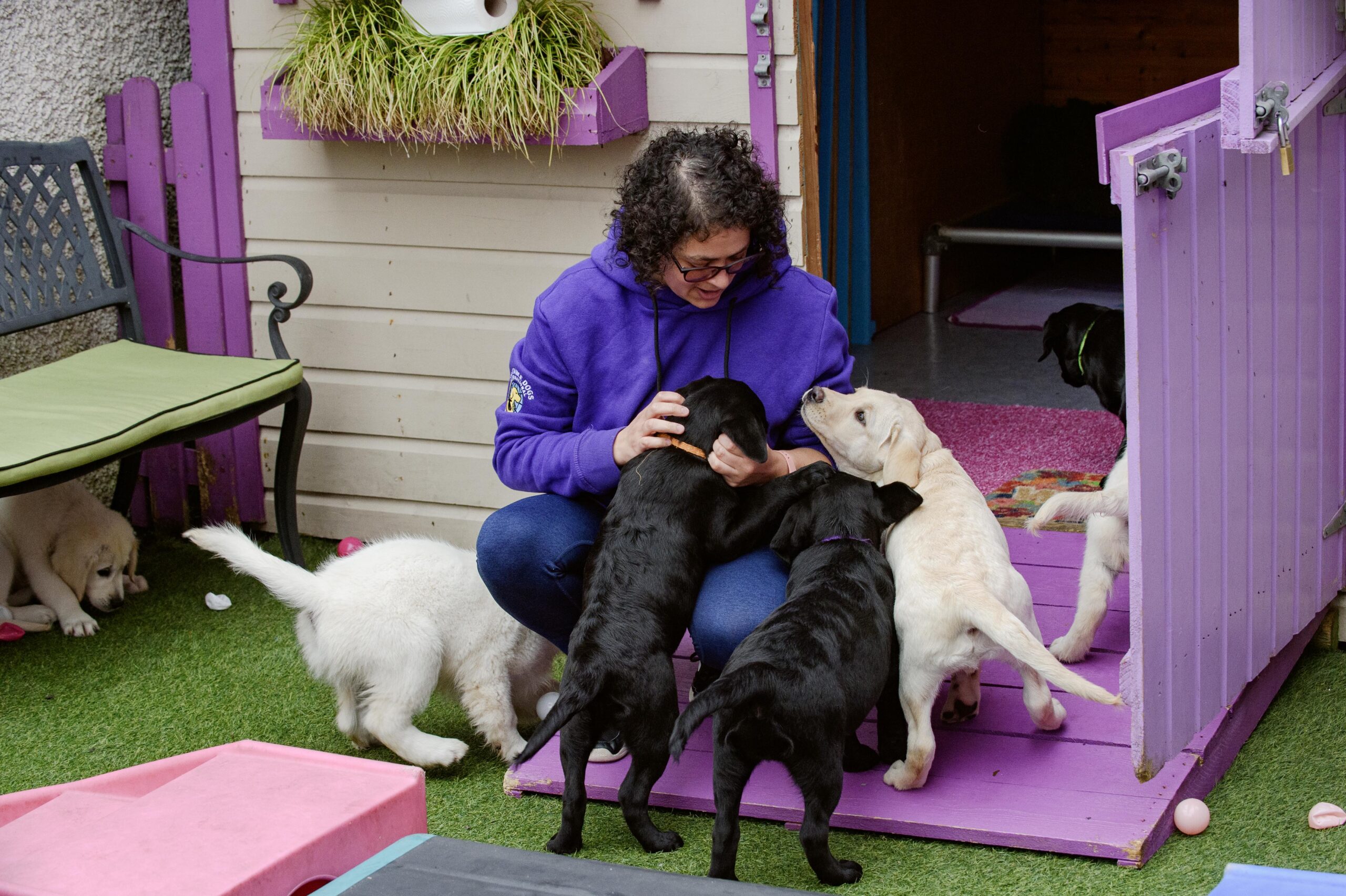 Trainer plays with group of puppies