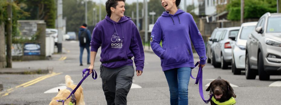 Two trainers walk assistance dogs on city street