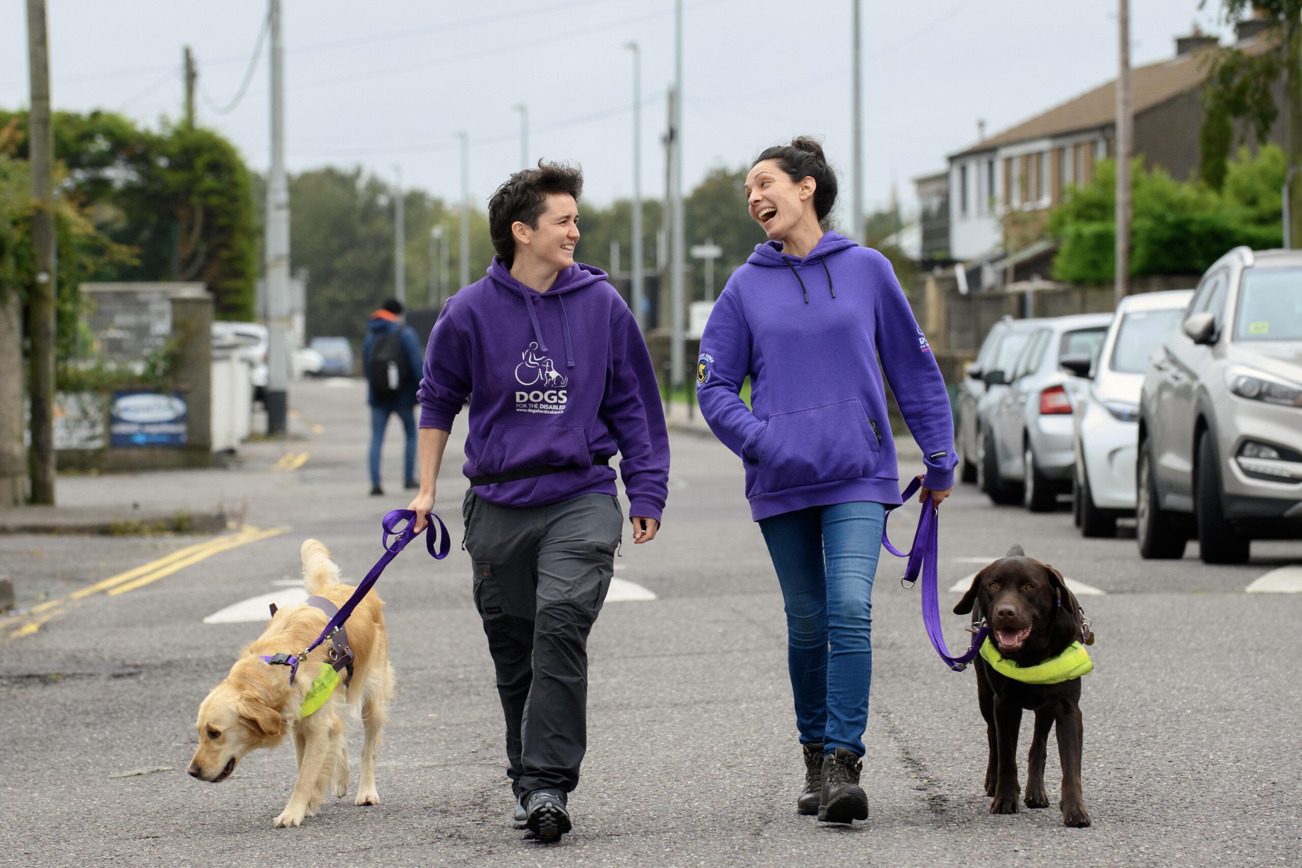 Two trainers walk assistance dogs on city street